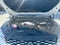 2026 Renault Koleos 2.0 Techno At