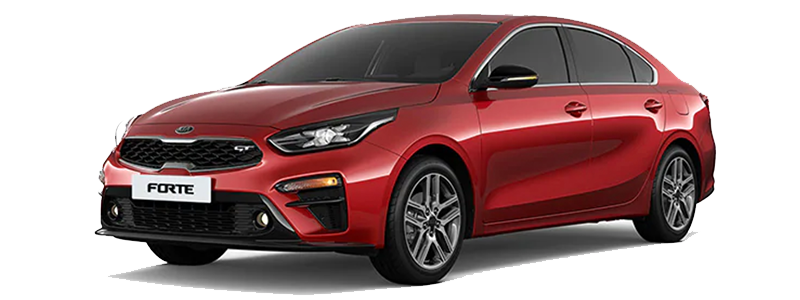 Ziga in Ciudad de México CDMX