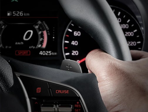 Ziga in Ciudad de México CDMX