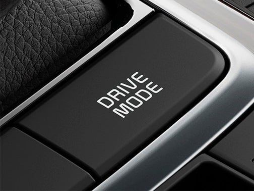 Ziga in Ciudad de México CDMX