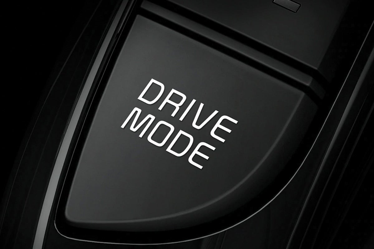 Ziga in Ciudad de México CDMX