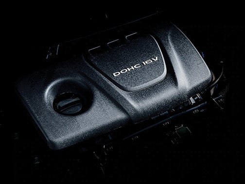 Ziga in Ciudad de México CDMX