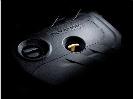 Ziga in Ciudad de México CDMX