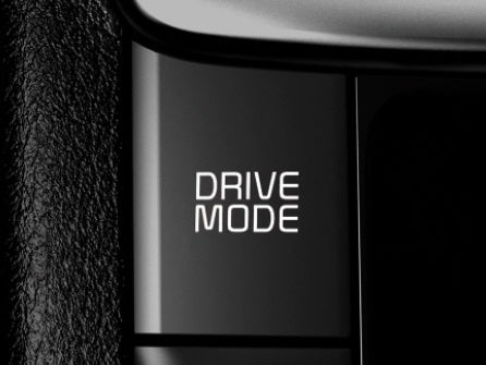 Ziga in Ciudad de México CDMX